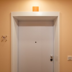 80694